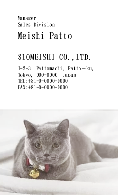 テンプレート名刺【cat photo-d009-zy】