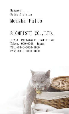 テンプレート名刺【cat photo-d012-zy】
