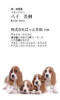 テンプレート名刺【dog photo-d001-zy】
