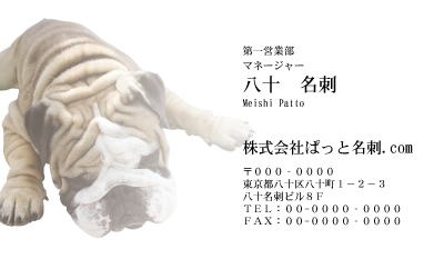 テンプレート名刺【dog photo-d002-zy】
