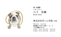 テンプレート名刺【dog photo-d004-zy】