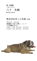 テンプレート名刺【dog photo-d005-zy】