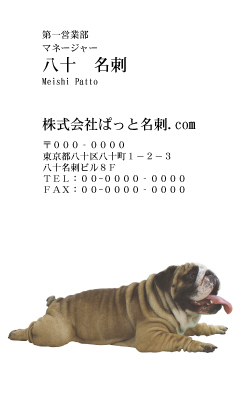 テンプレート名刺【dog photo-d005-zy】