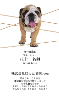 テンプレート名刺【dog photo-d006-zy】
