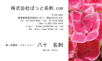 テンプレート名刺【plant-Hydrangea photo-d002-yd】