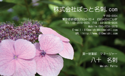 テンプレート名刺【plant-Hydrangea photo-d013-yd】