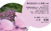テンプレート名刺【plant-Hydrangea photo-d014-yd】