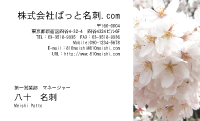 テンプレート名刺【plant- sakura photo-d002-yd】