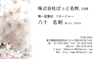 テンプレート名刺【plant- sakura photo-d007-yd】
