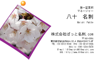 テンプレート名刺【plant- sakura photo-d015-yd】