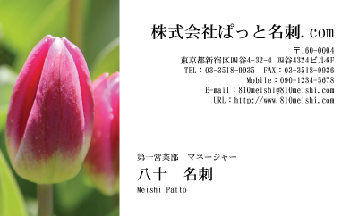 テンプレート名刺【plant-tulip photo-d001-yd】