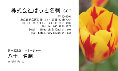テンプレート名刺【plant-tulip photo-d002-yd】