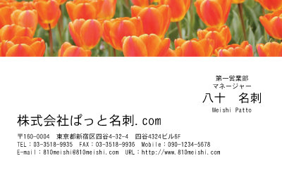 テンプレート名刺【plant-tulip photo-d003-yd】