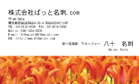 テンプレート名刺【plant-tulip photo-d004-yd】