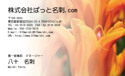 テンプレート名刺【plant-tulip photo-d006-yd】