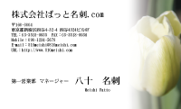 テンプレート名刺【plant-tulip photo-d008-yd】