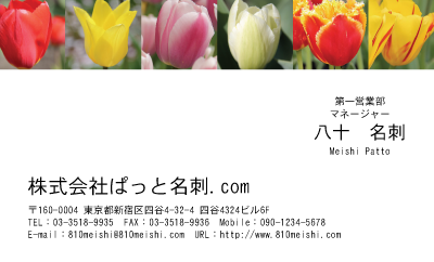 テンプレート名刺【plant-tulip photo-d015-yd】