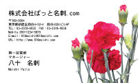 テンプレート名刺【plant-carnation photo-d006-zyz】