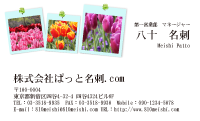 テンプレート名刺【plant-tulip photo-d019-lmzyz】