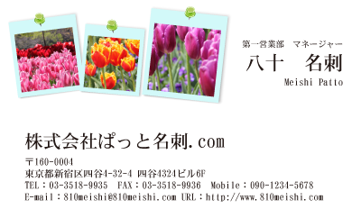 テンプレート名刺【plant-tulip photo-d019-lmzyz】