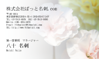 テンプレート名刺【plant-carnation photo-d008-lm】