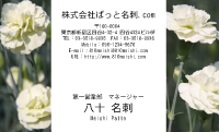 テンプレート名刺【plant-carnation photo-d011-lm】