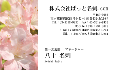 テンプレート名刺【plant-azaleas photo-d004-lm】