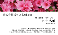 テンプレート名刺【plant-azaleas photo-d006-lm】