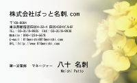 テンプレート名刺【plant-cole flower photo-d013-lm】