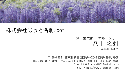 テンプレート名刺【plant-wistaria photo-d008-lm】