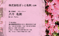 テンプレート名刺【plant-azaleas photo-d018-lm】