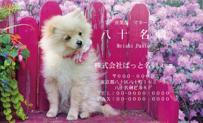 テンプレート名刺【dog photo-d046-ly-zdk】